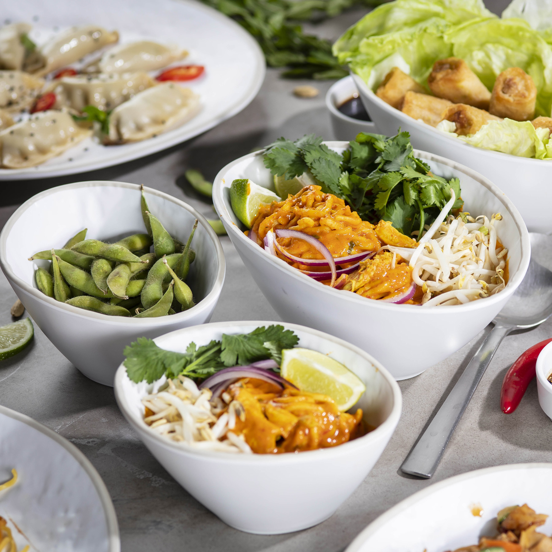 Complete Melamine Care Guide